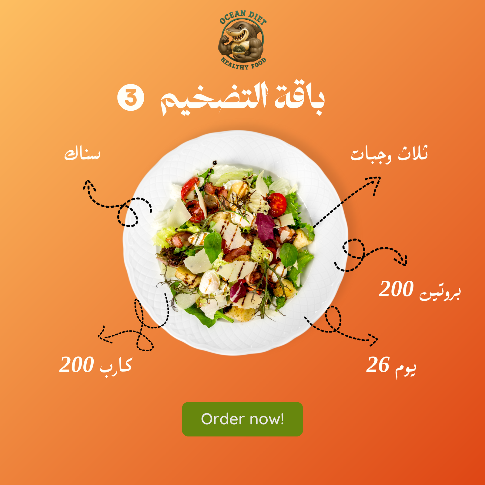 باقة التصخيم 3